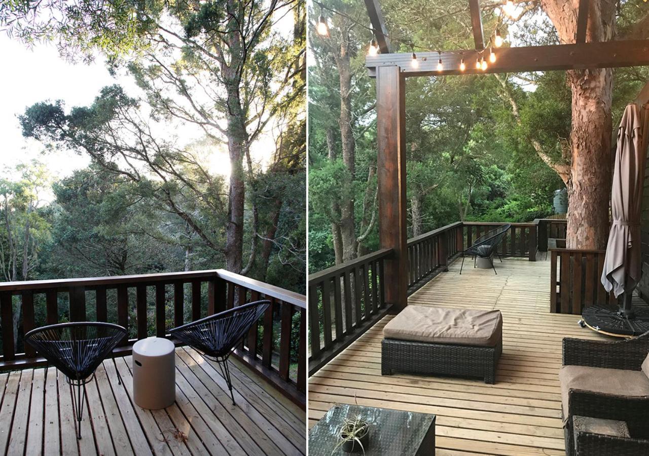 Вилла Forestchild Self Catering, The Crags Экстерьер фото